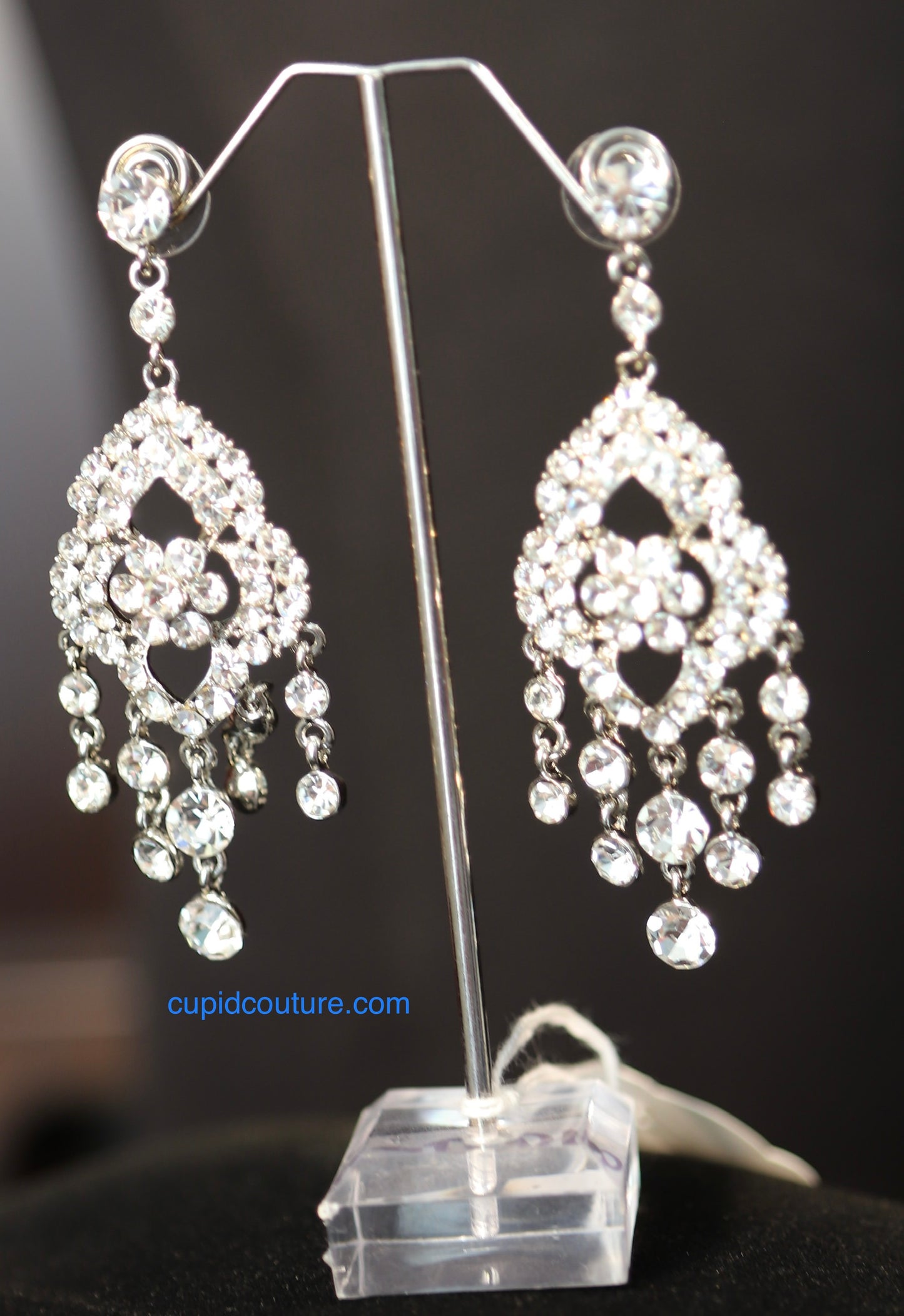 DT01228 Earrings