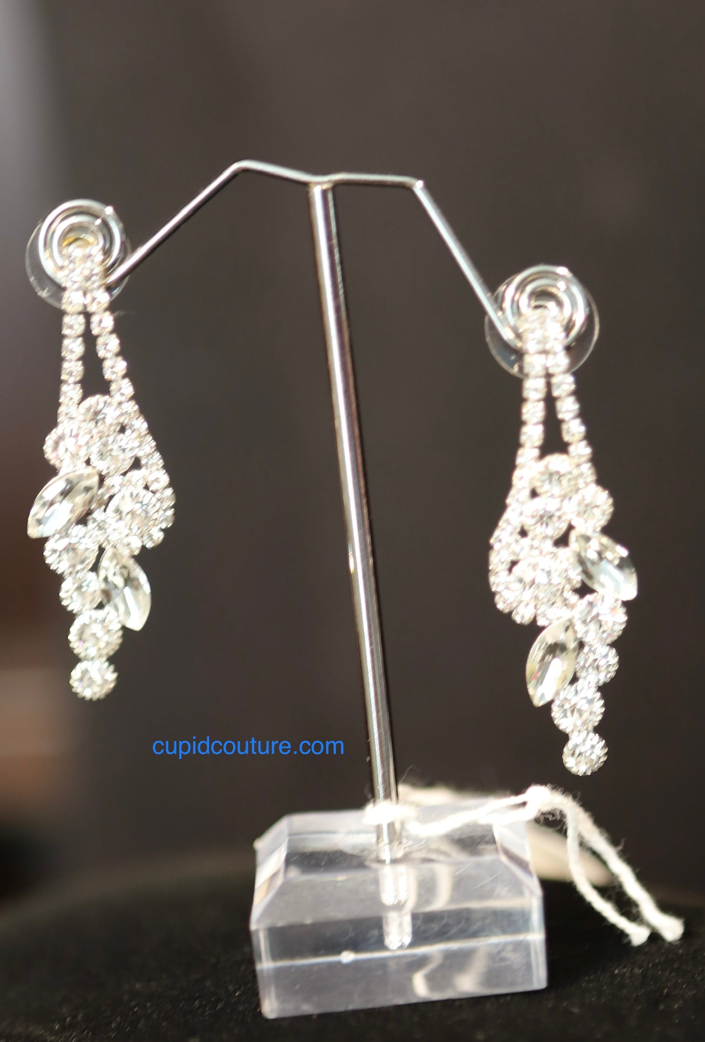 DTCS1228 Crystal Silver Earrings